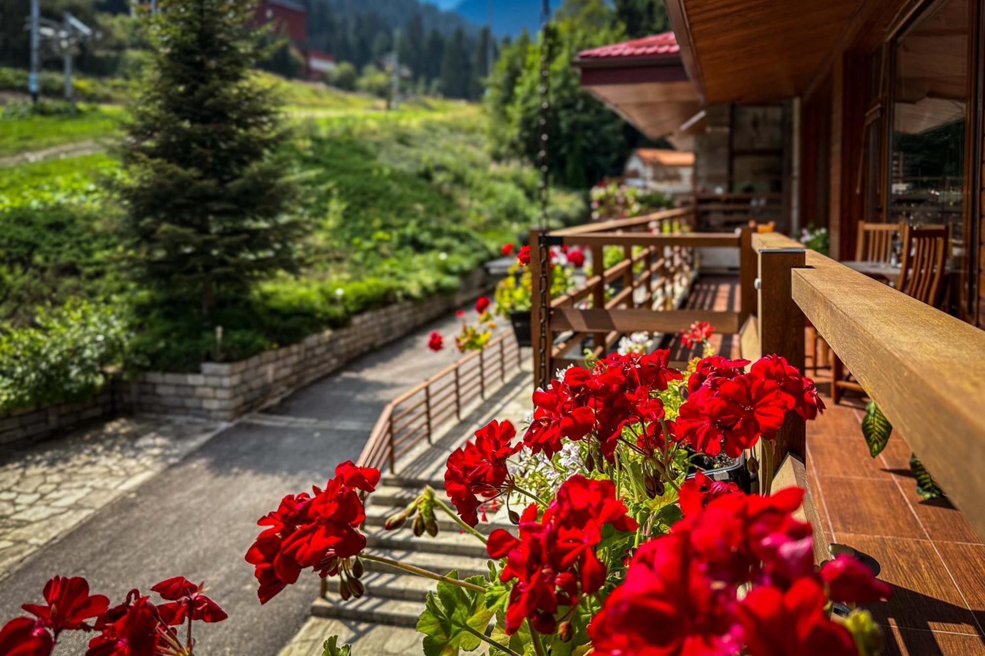 Musala Hotel Borovets Exteriör bild